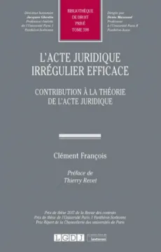 l-acte-juridique-irregulier-efficace-9782275073088.jpg